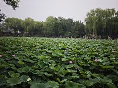 -莲池书院博物馆