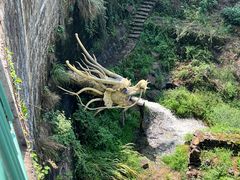-磐安舞龙峡景区