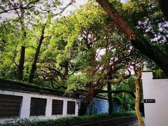 -绍兴鲁迅故里·沈园景区