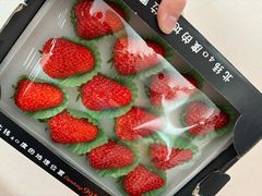 -婕妮璐超市 Jenny Lou’s Shop(三里屯店)