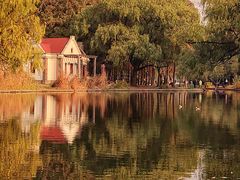 -上海共青森林公园