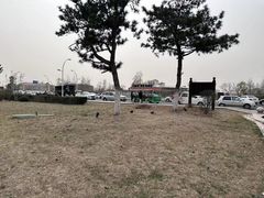 -莫子山公园