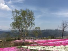 -鳌山滑雪度假区