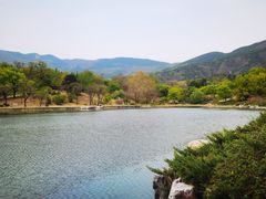 -国家植物园