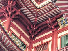-新加坡佛牙寺龙华院