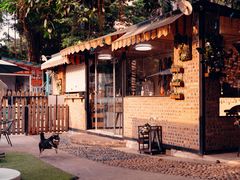 -柴犬高等学院·狗咖·柴犬售卖·宠物训练