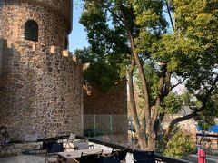 -J Create城市露营咖啡·简餐·宠物(上海动物园店)