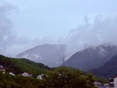 -天目山大树王景区