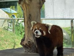 -水上乐园·欢乐世界