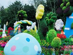 -上海共青森林公园