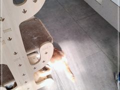 -飞行喵MR PILOT|猫舍·猫咖(静安大融城店)