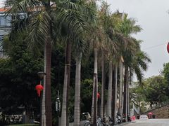 -厦门大学(思明校区)
