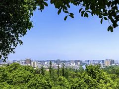 -潜山国家森林公园