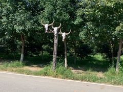 -北京呀路古热带植物园