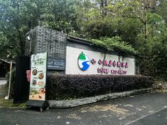 -小小饭店·休闲农庄·安吉松树林里的农家菜