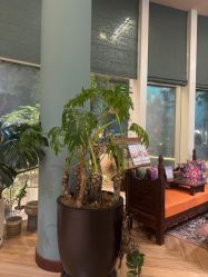 -娇玫荟SPA