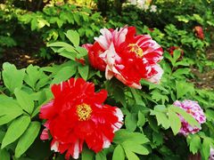 -江南大学(蠡湖校区)