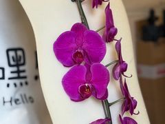 -W CAFE(甜爱路店)