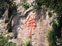 -抱犊崮国家森林公园