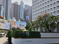 -尼依格罗香港美利酒店