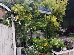 -金鸡湖景区