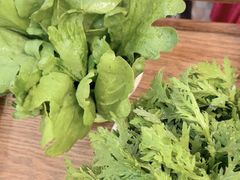 -芦月轩羊蝎子(太平桥店)
