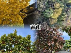 -Catail前苑(前门大街店)