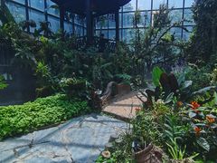 -东莞植物园