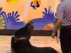 -太平洋海底世界