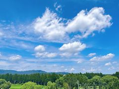 -北京西山国家森林公园