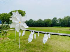 -白塔湖国家湿地公园