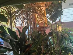 -桂满陇·蟹黄小笼汤包(清河万象店)