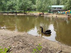 -长白岛森林公园