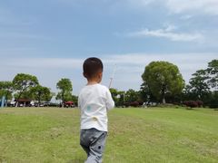 -漕湖湿地公园