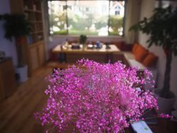 -悠季瑜伽工体会馆