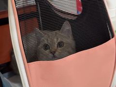 -四月宠物医院·猫专科·心脏专科·内科(转塘店)