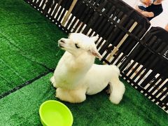 -上海颛桥万达广场