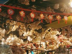 -甲大帅·甲鱼·椰子鸡主题餐厅(唐家店)
