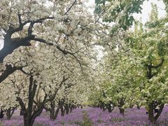 -江苏三台山国家森林公园