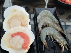 扇贝-丽江庭院之爱在路上(西单店)