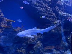 -海合安成都极地海洋公园