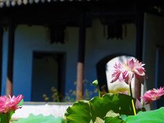 -郭庄景区