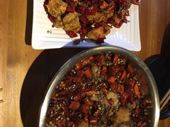 水煮鲶鱼-望京一号·重庆江湖菜(工体店)