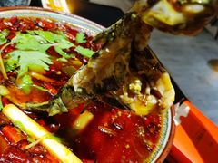 -金三角黄腊丁(奥体店)