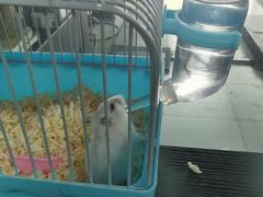 -顺壹匠心BOP保镖隐形车衣(天津专营店)