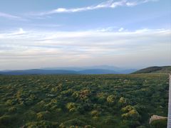 -芦芽山旅游度假区
