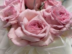 -山与蓝·轻糖鲜果蛋糕(勒泰店)