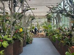 -上海鲜花港