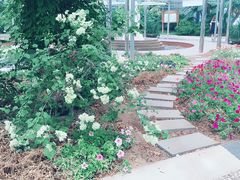 -龙达温泉生态城