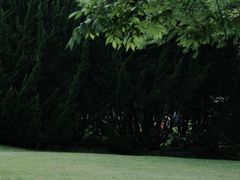 -上海滨江森林公园
